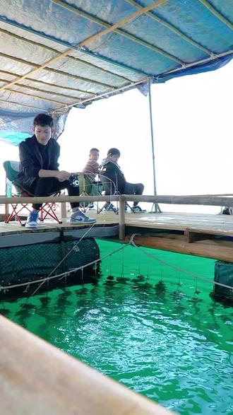 惠州鱼排海钓(惠州鱼排筏钓电话)