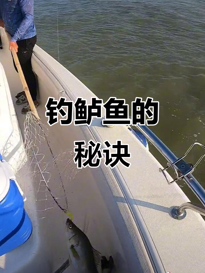 钓长江鲈鱼技巧(长江钓鲈鱼用什么饵最好)