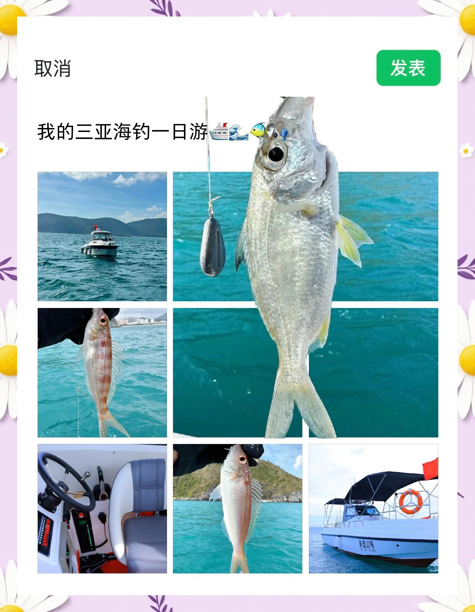 七州岛海钓(七州列岛钓鱼)