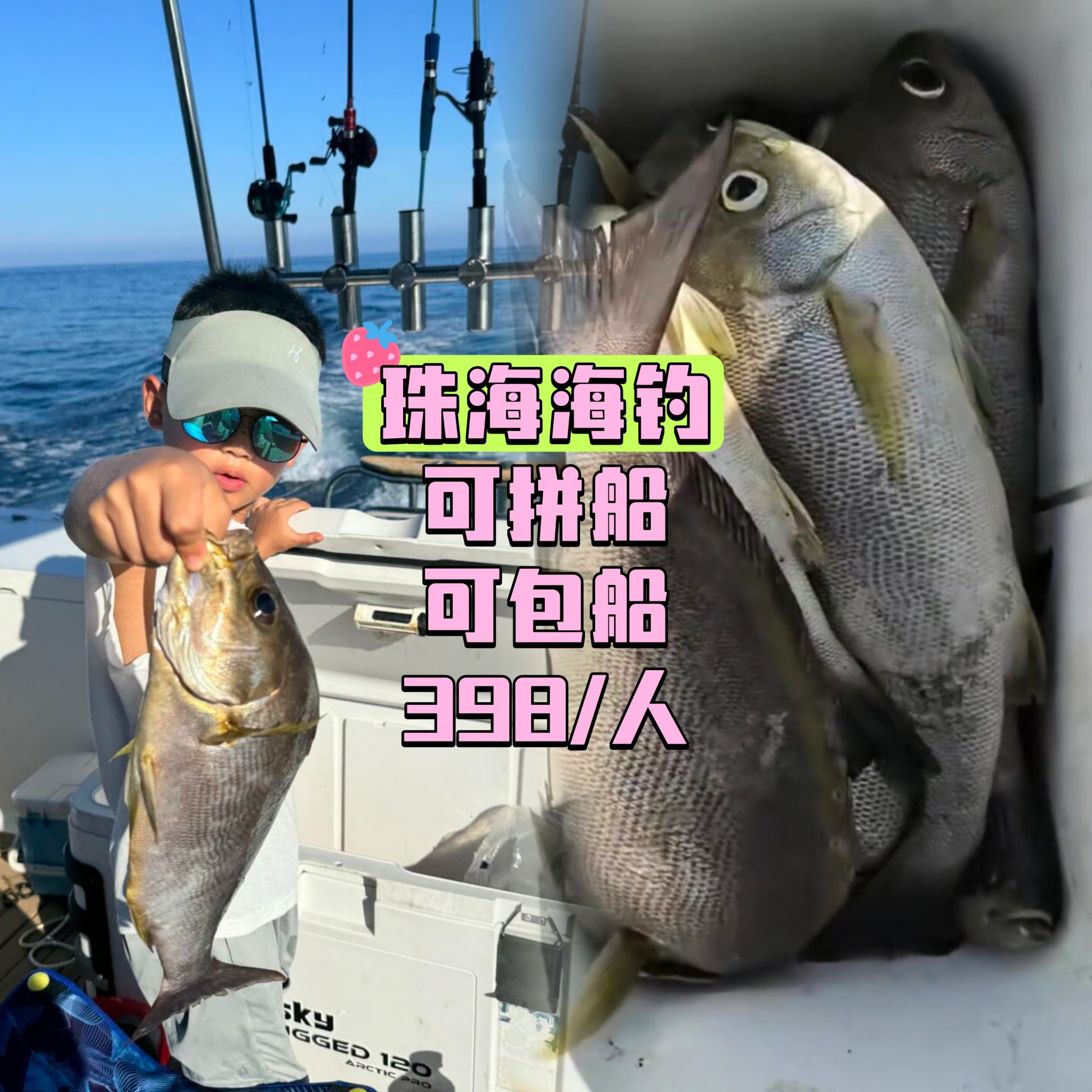 小坠岛海钓(坠岛是什么意思)