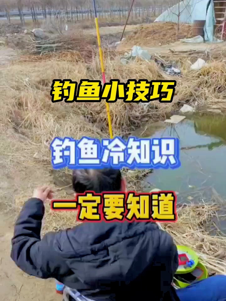 十几度钓鱼技巧(十几度钓鱼好钓吗)