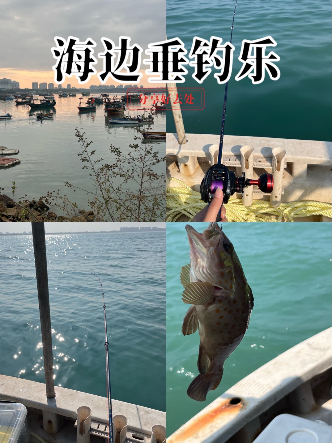 渤海湾海钓(渤海湾海钓芦鱼是涨潮还是落潮好钓)