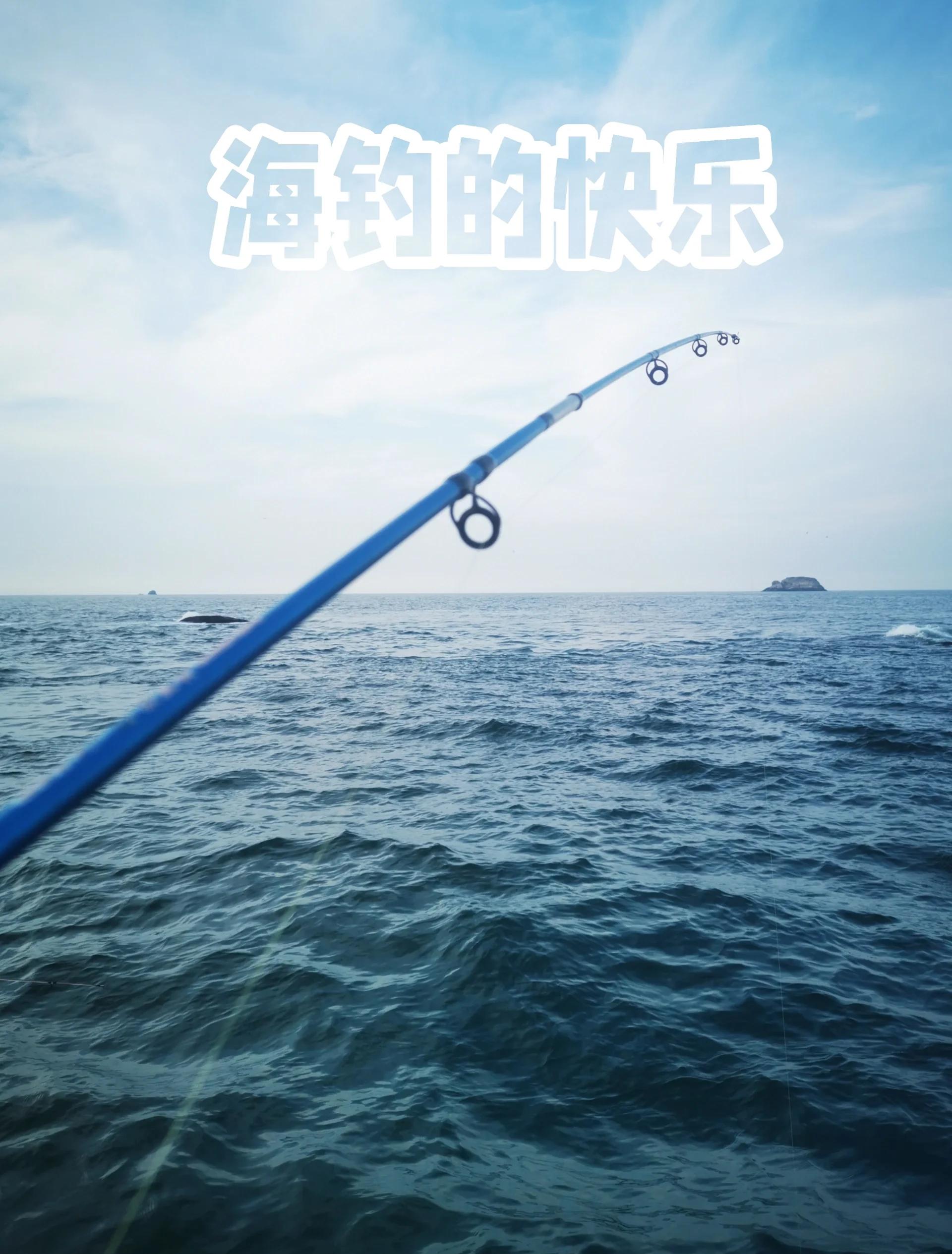 香港海边钓鱼技巧(香港海边可以钓鱼吗)