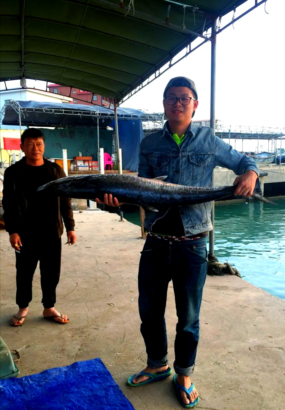 惠州马鲛鱼海钓(广东钓马鲛鱼季节)