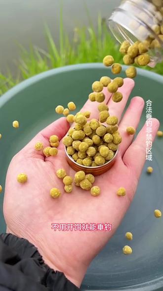 防小鱼饵料(防小鱼的钓鲫鱼饵料)