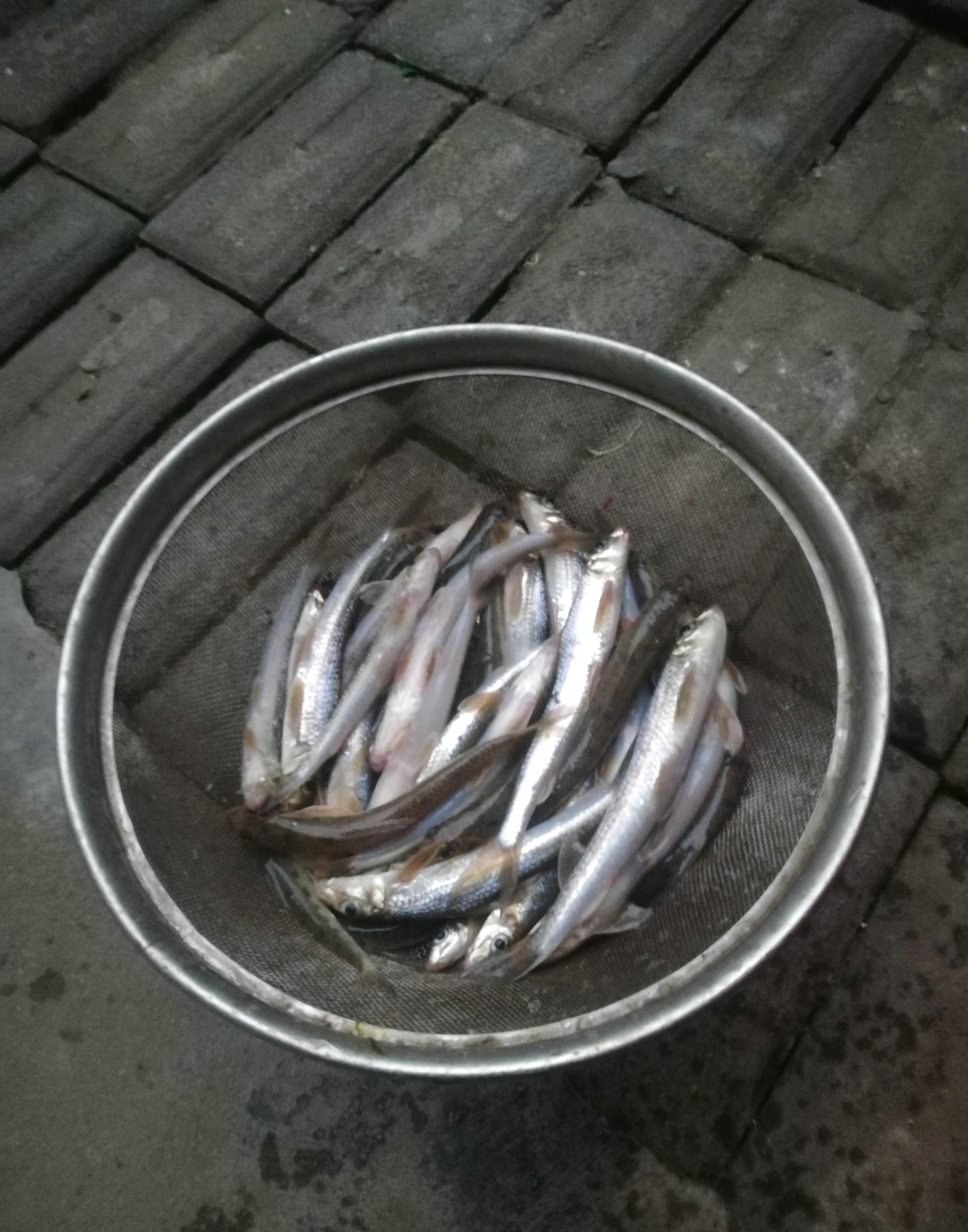夏季钓船钉子技巧(夏季钓船钉子技巧和方法)