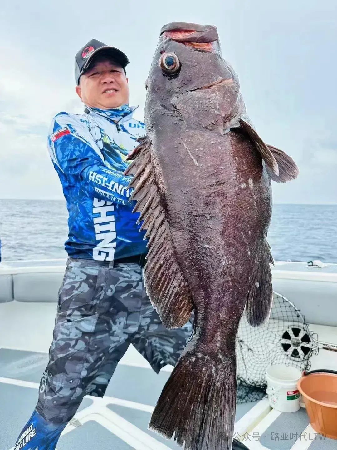 钦州海钓金枪(钦州海钓金枪鱼价格)