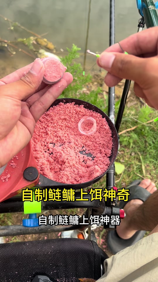 钓鲢鱼开饵挂饵技巧(钓鲢鱼开饵挂饵技巧和方法)