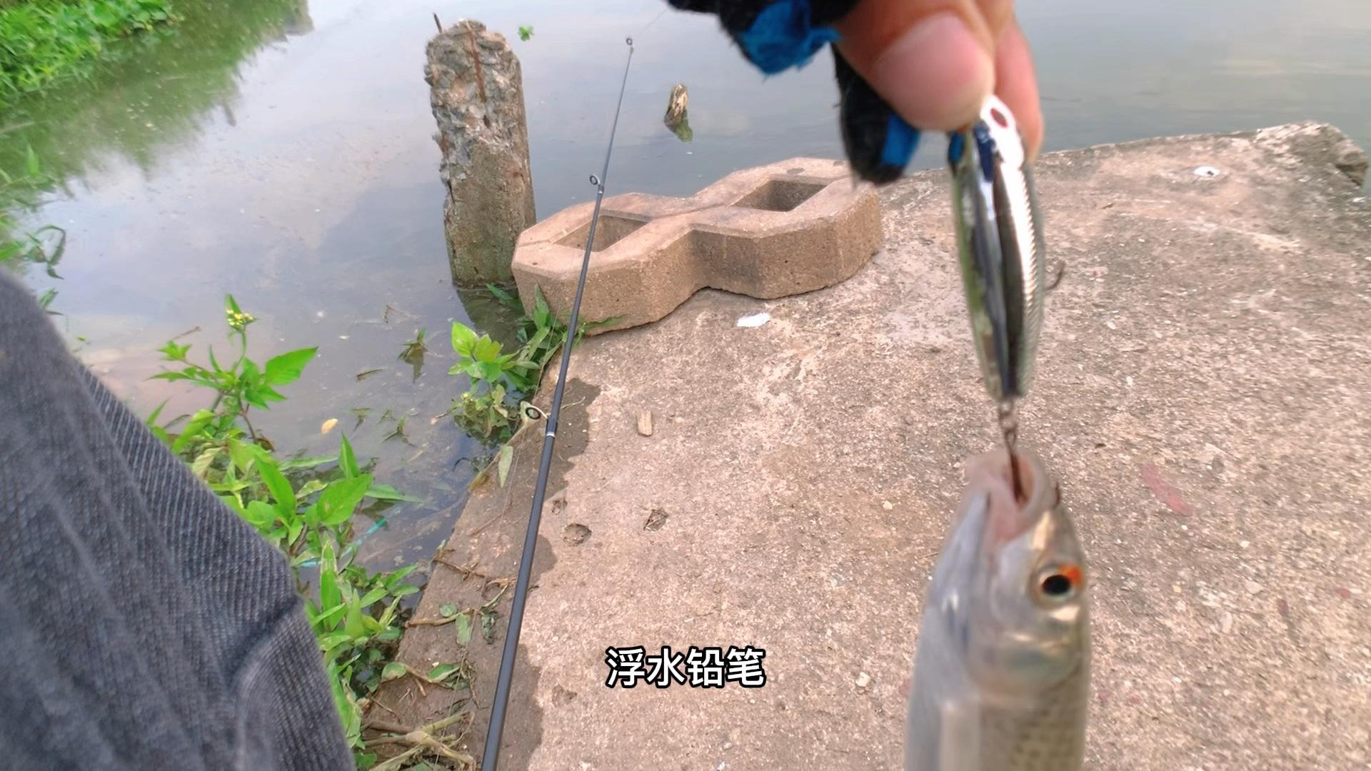 怎么路亚红眼(路亚钓红眼用什么饵最好)