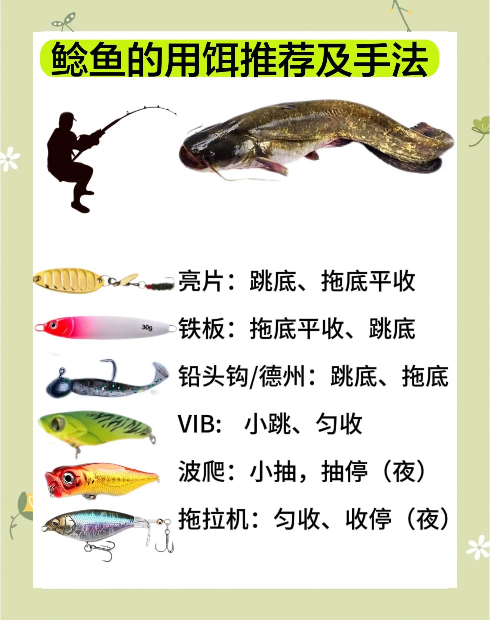 江河钓鱼饵料技巧(江河钓鱼饵料技巧视频)