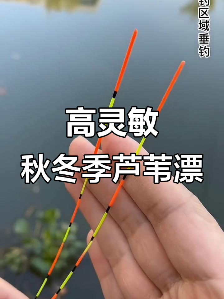 野钓轻口鱼技巧(野钓轻口鱼技巧图解)