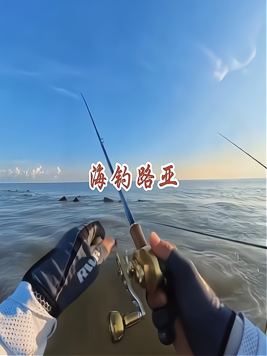 秦皇岛海钓路亚(秦皇岛哪里钓海鲈鱼)