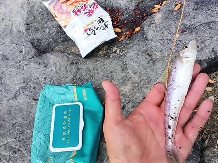 远投拖沙技巧(拖沙投如何抛投)