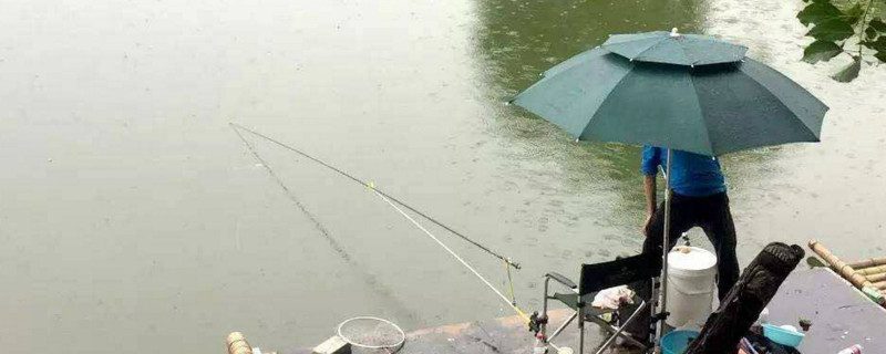 下雨天秋天钓鱼技巧(秋季下雨天钓鱼钓底还是钓浮)
