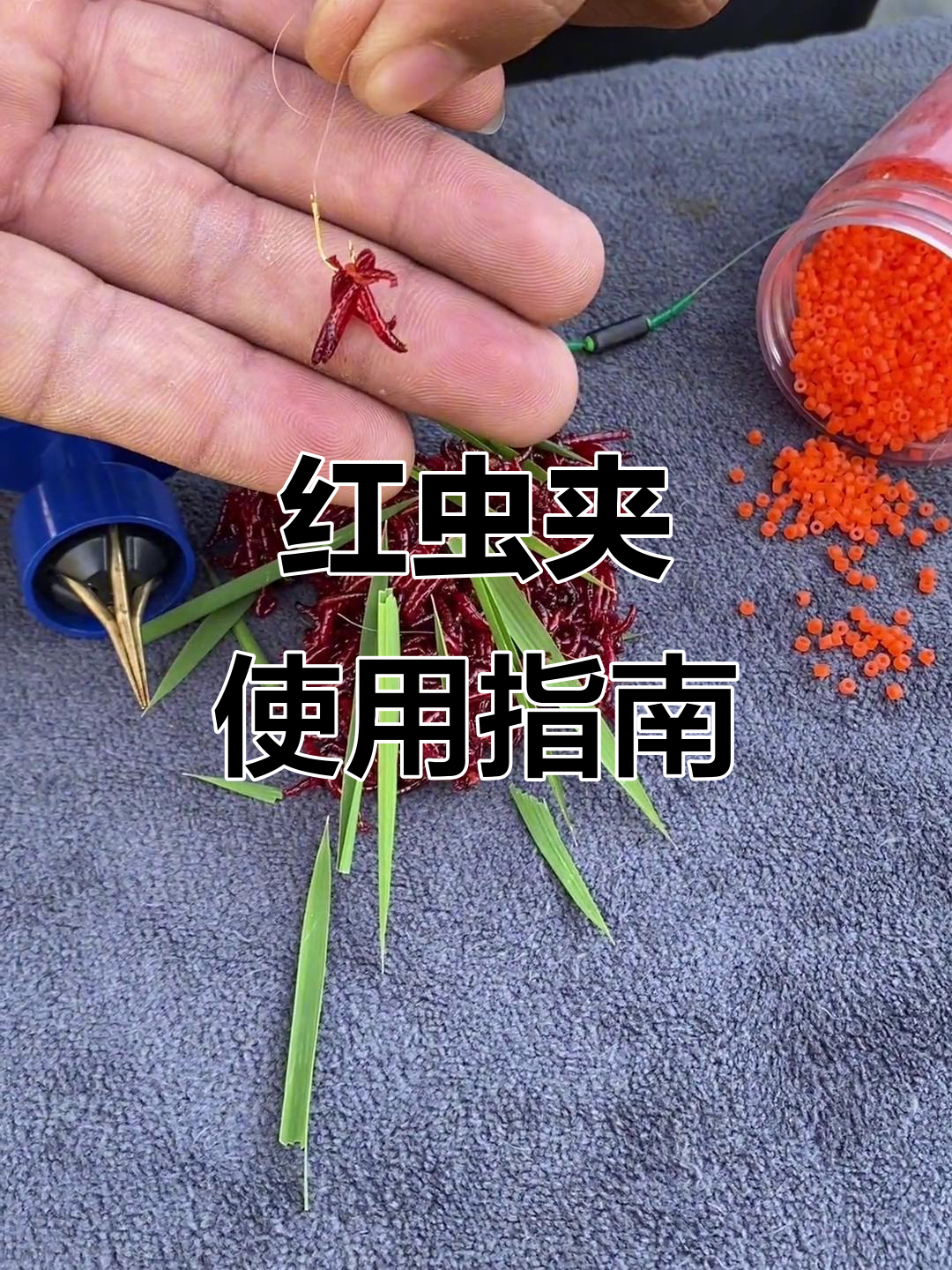 天河红线虫钓鱼技巧(天河红线虫钓鱼技巧和方法)