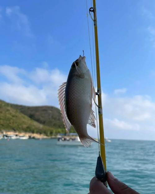 沙滩海钓有什么鱼(沙滩海钓有什么鱼可以钓)