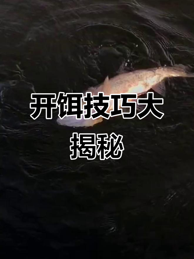 怎样开鲤鱼饵料(怎样开鲤鱼饵料视频)