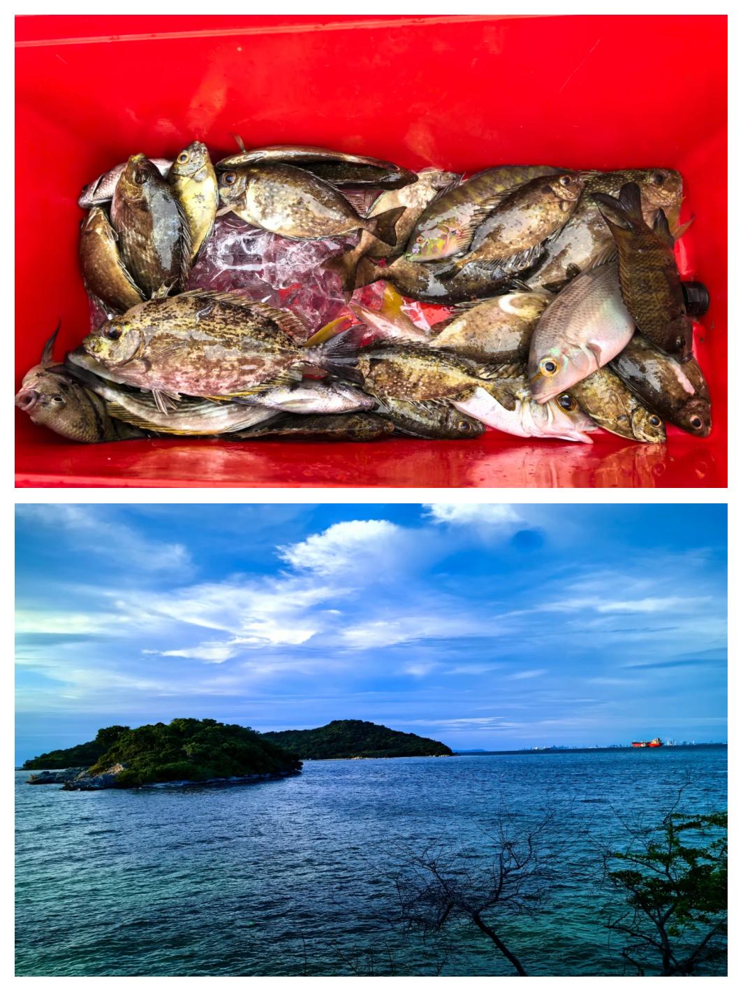 文昌海钓点(海南文昌休闲海钓中心)