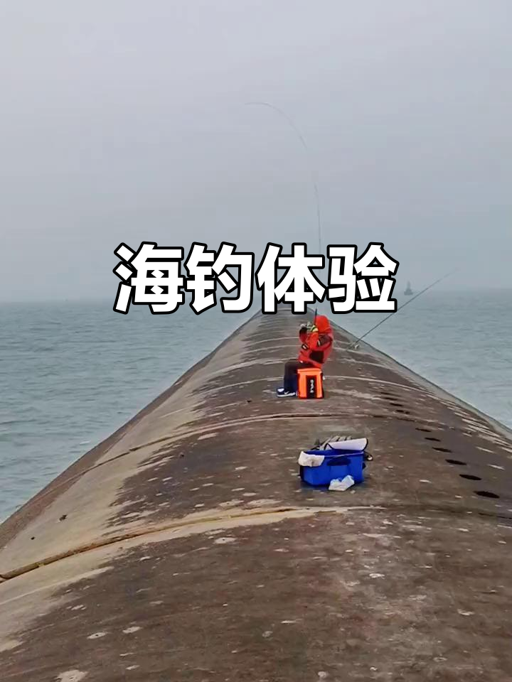 龙门海钓(龙门水库钓鱼多少钱)