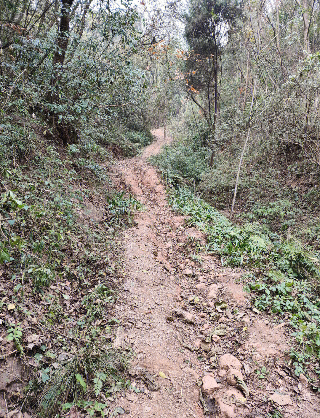 白塔湖路亚点(白塔湖有什么鱼)