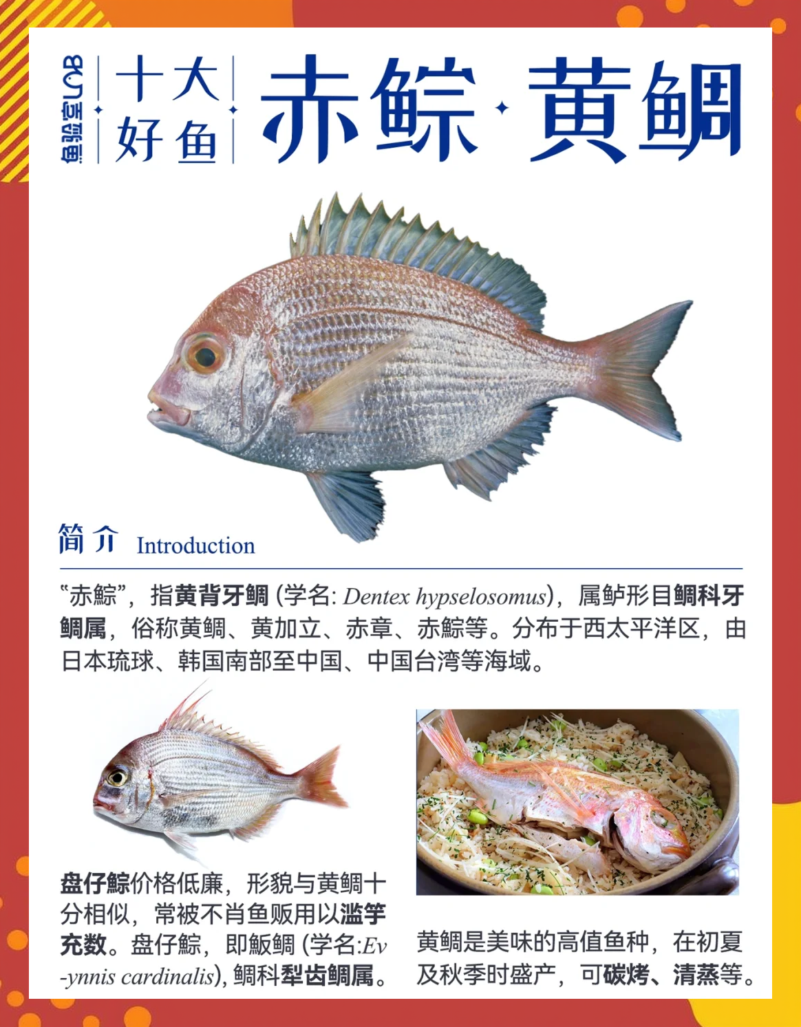 台湾海钓鱼种(马尔代夫海钓鱼种)