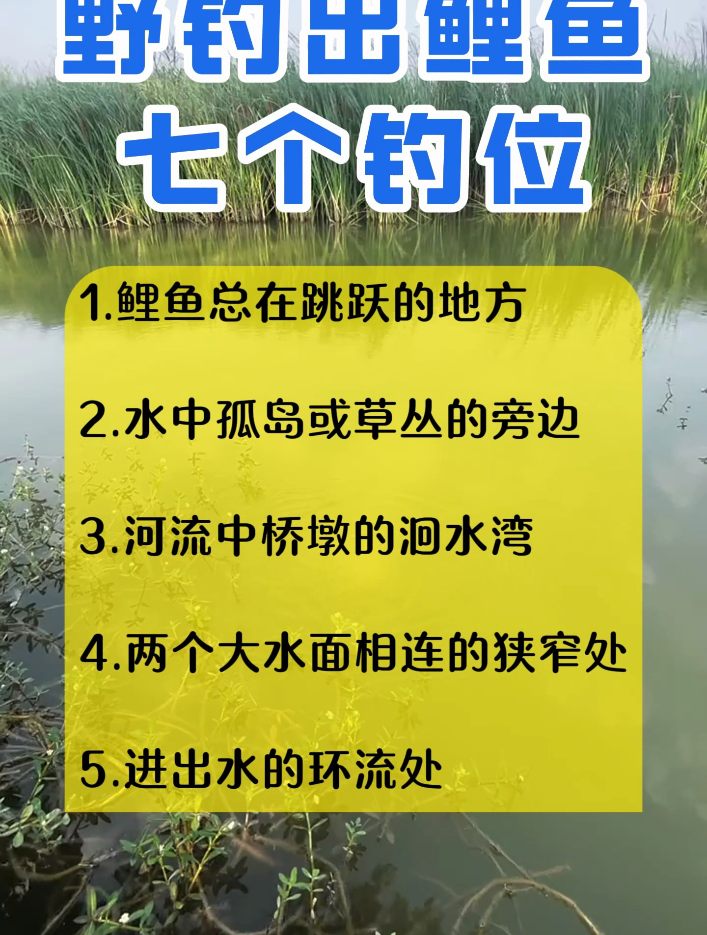 小满野河钓鲤鱼技巧(小河野钓鲤鱼用什么饵料)