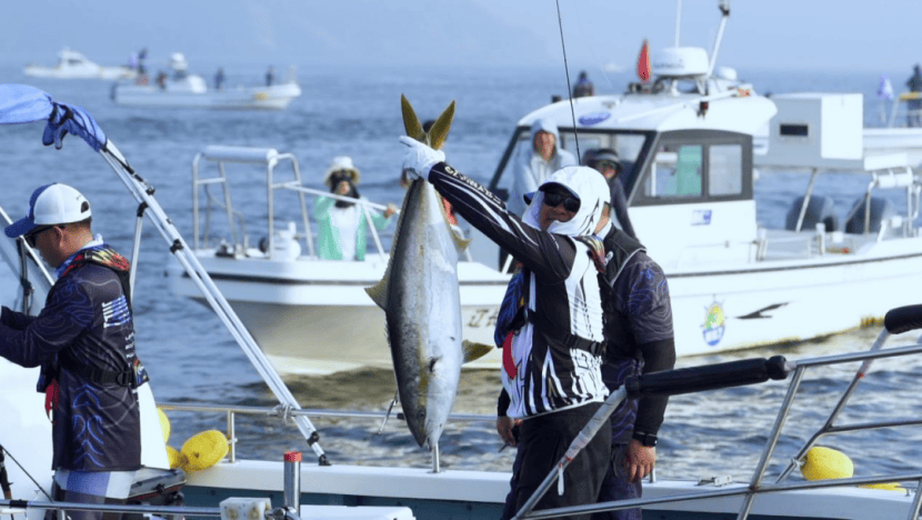 碧海钓鱼(碧海钓鱼田斌简介)