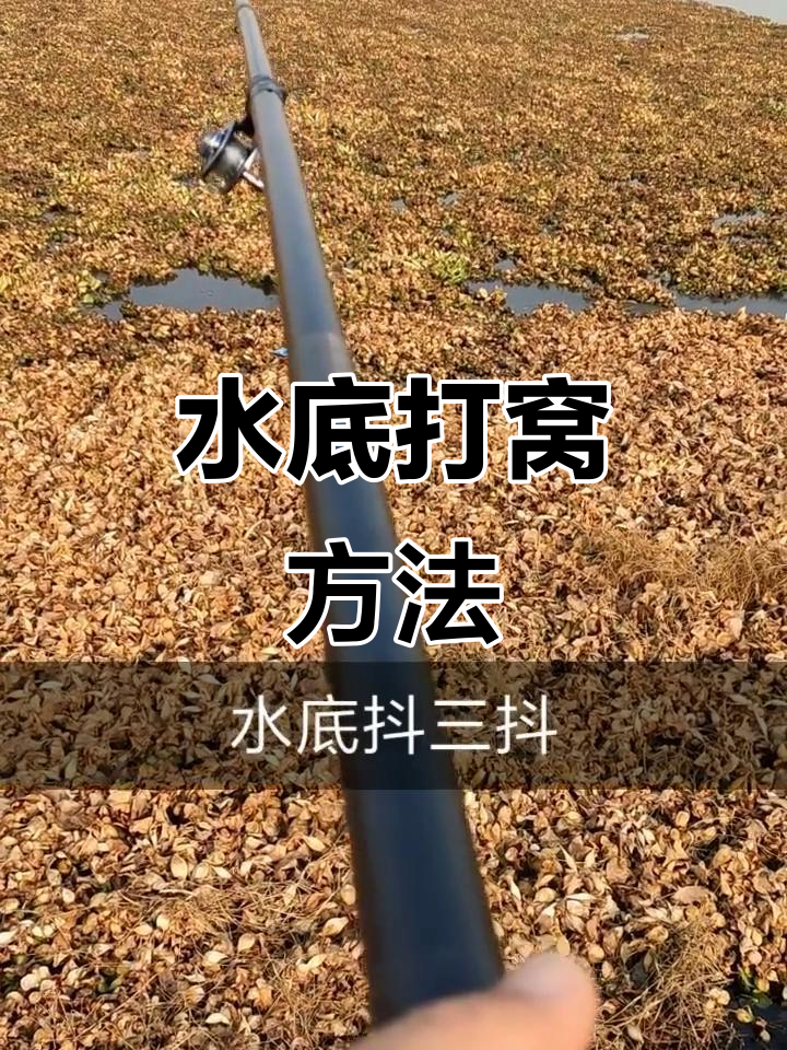 大风天水库钓鱼技巧(大风天钓鱼应该钓哪里)