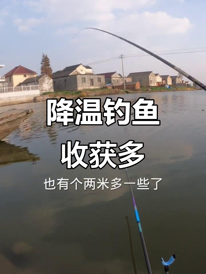 冬季大风降温钓鱼技巧(冬季大风降温钓鱼技巧视频)