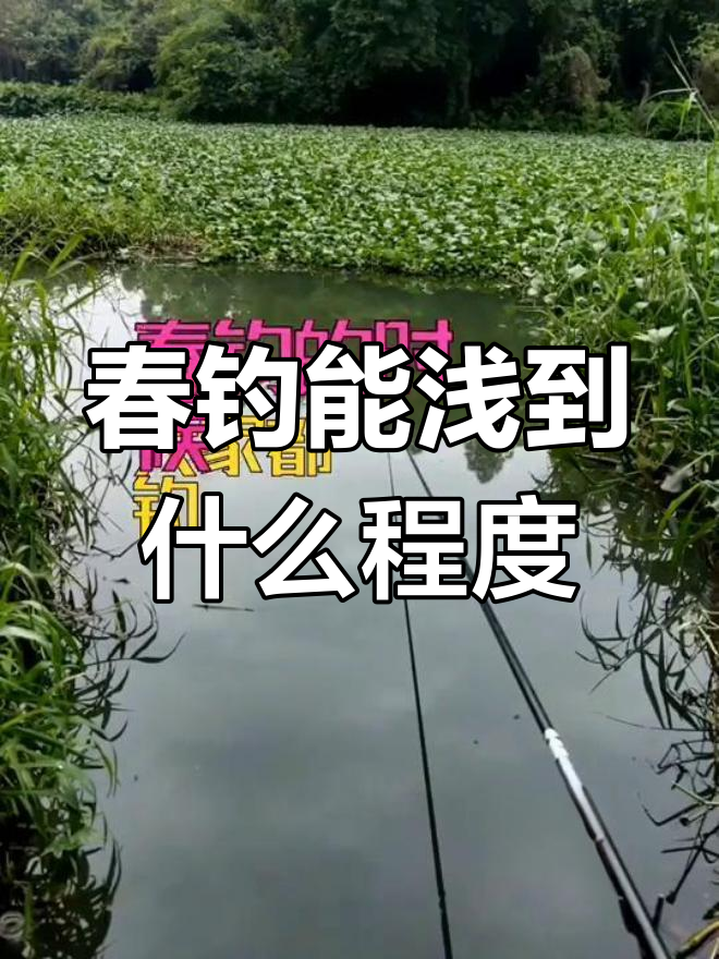 浅水的钓鱼技巧(浅水钓鱼技巧详解)