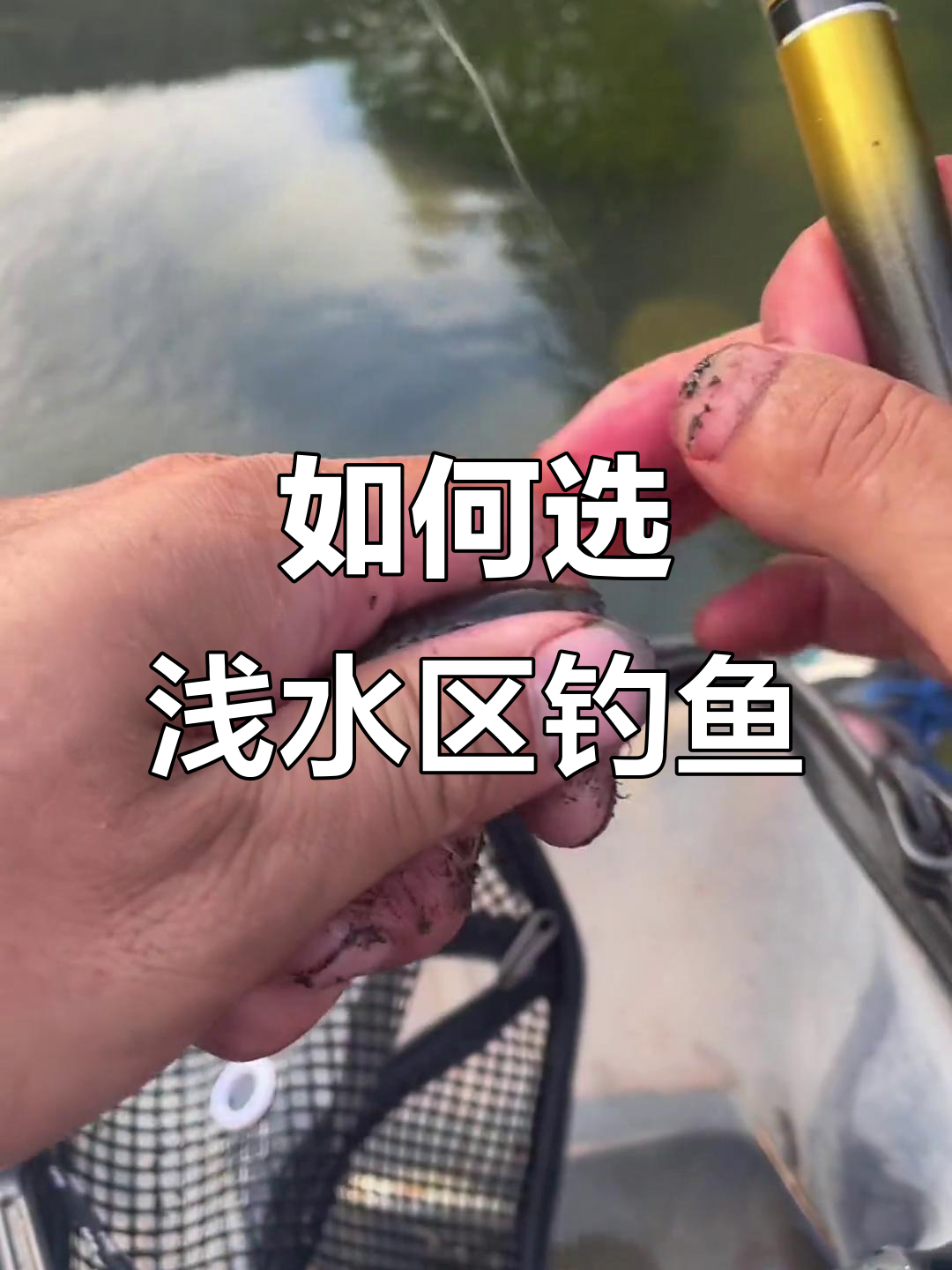 浅水的钓鱼技巧(浅水钓鱼技巧详解)