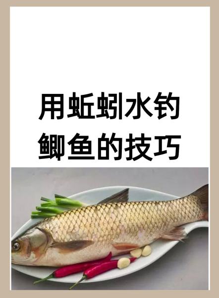 蚯蚓钓鲫鱼技巧(蚯蚓野钓鲫鱼绝密技巧)