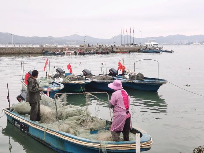 春节洞头海钓(温州洞头海钓怎么钓)