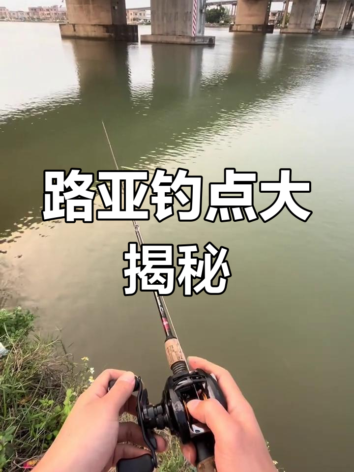 邕江路亚钓点(邕江哪些地方路亚上鱼)