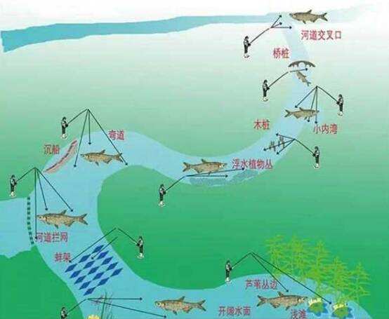 路亚怎样选地方(路亚如何选择水域)