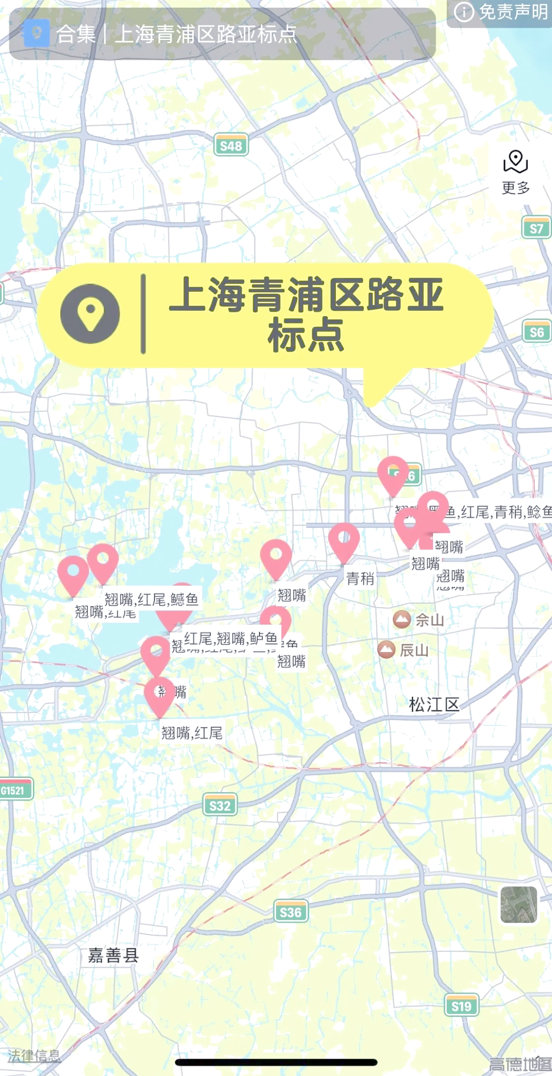 上海有哪些路亚地方(上海路亚资源最丰富的地方)