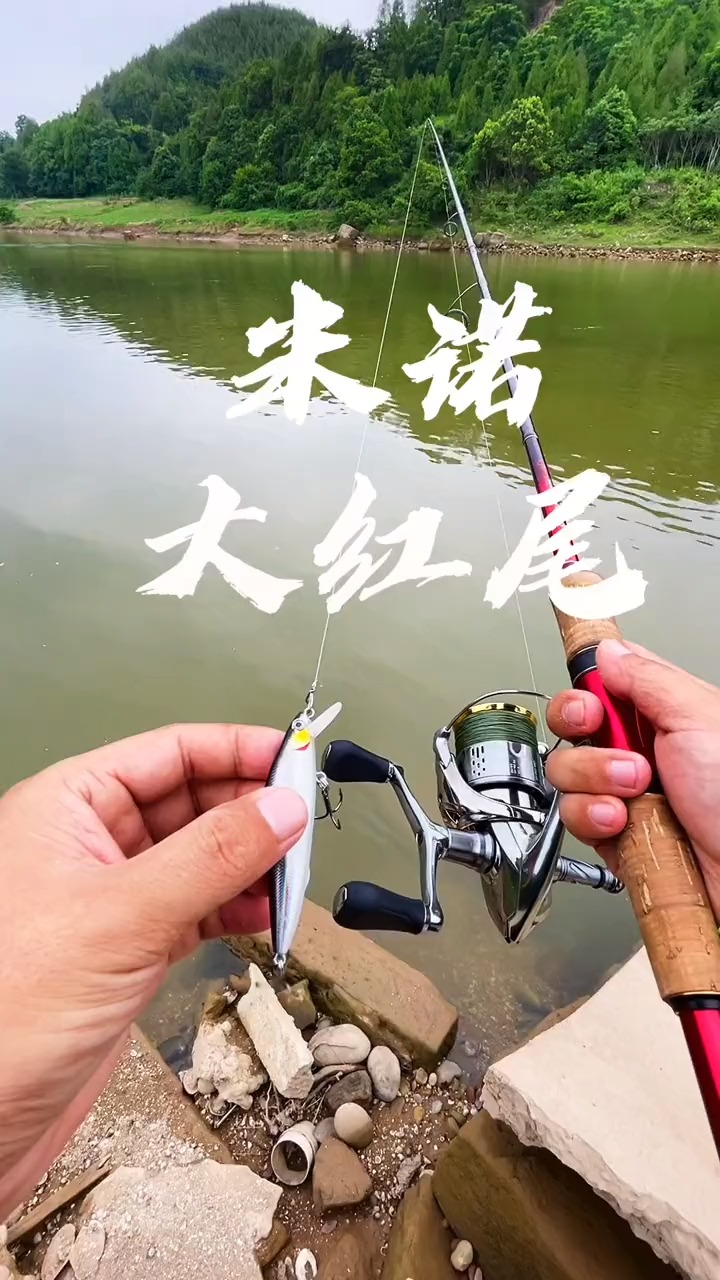 红尾翘嘴的垂钓技巧(红尾翘嘴的垂钓技巧和方法)