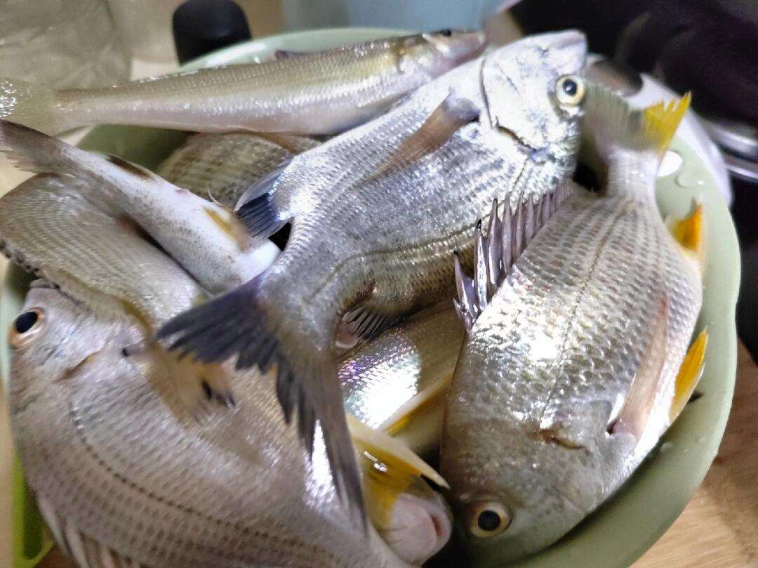 龙口冬天有海钓吗(龙口冬天有海钓吗最近)