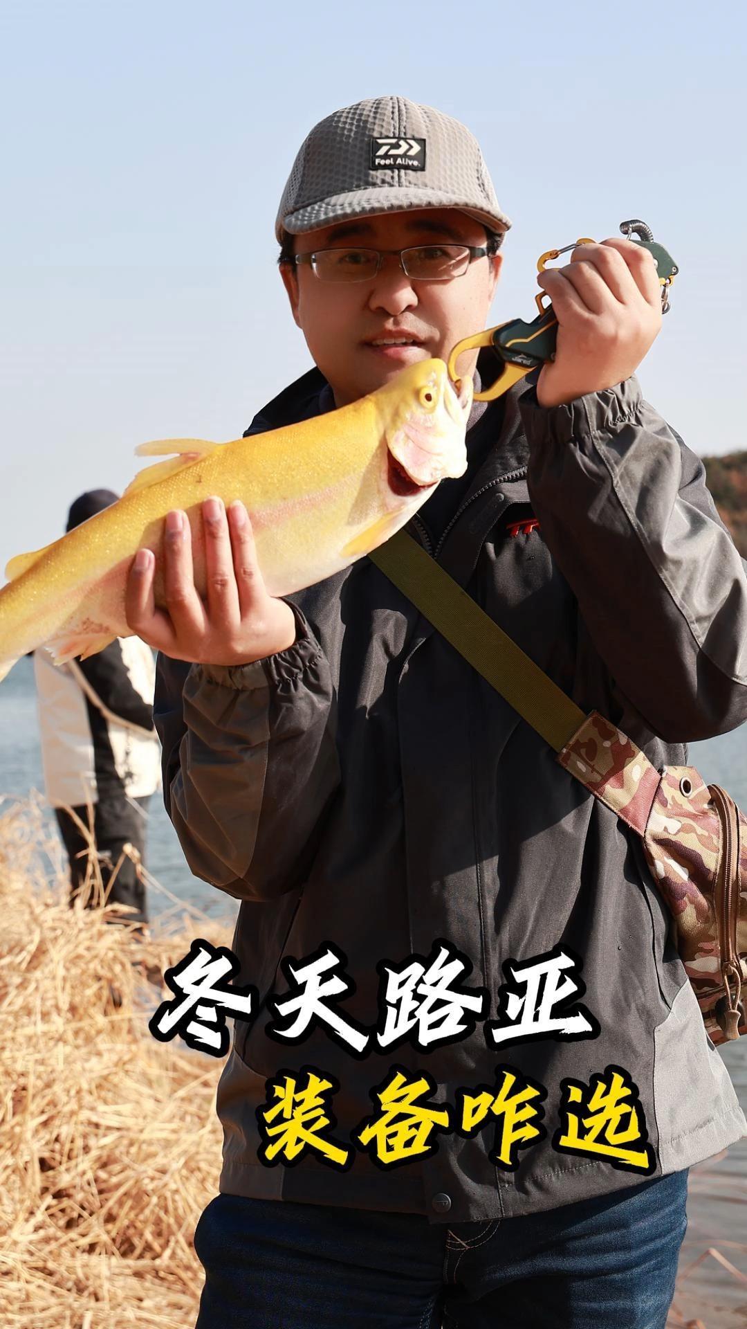 冬季水库路亚(冬季水库路亚梭鲈在什么水层)