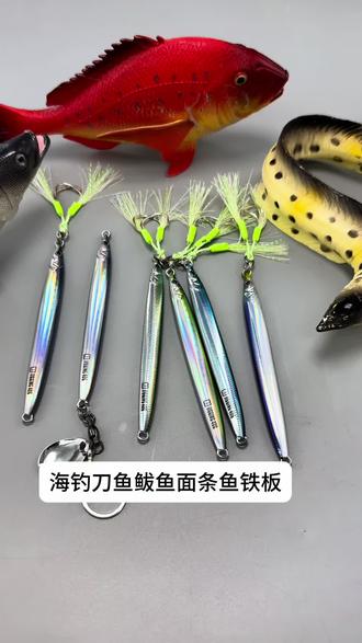 海钓鲅鱼路亚(路亚鲅鱼饵的选择)