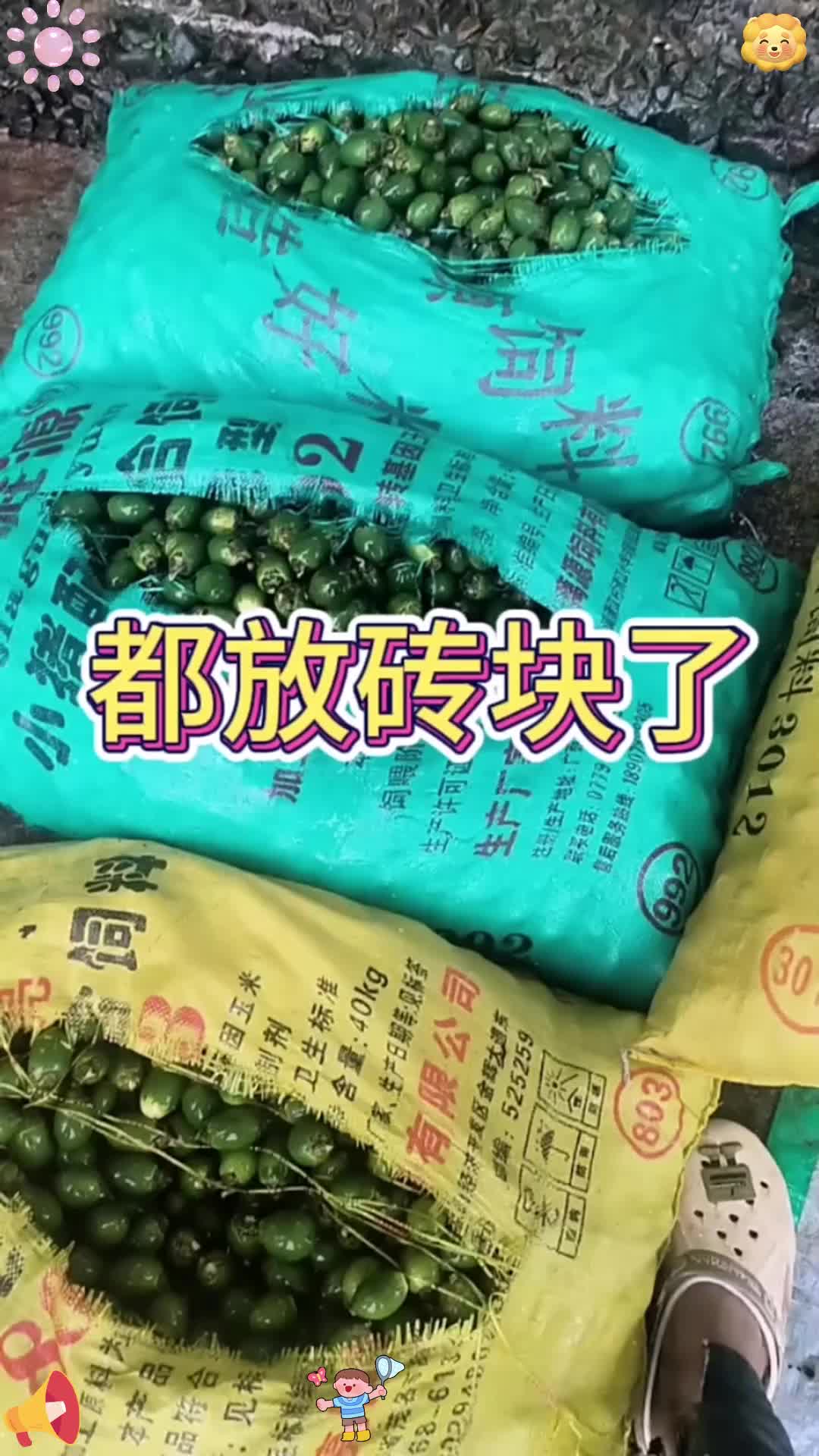 砖块饵料(方砖饵料哪种好)