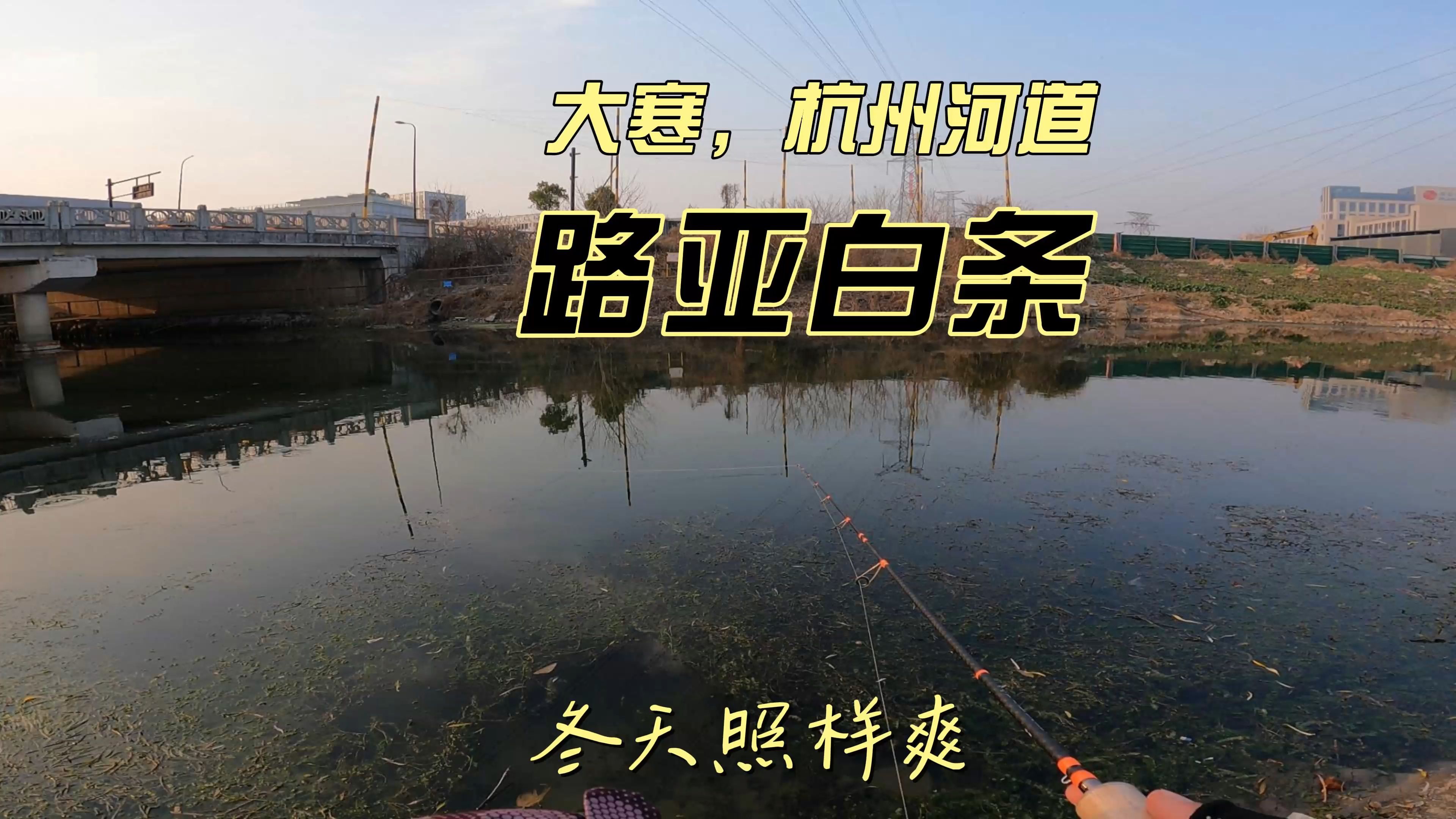 长江冬天路亚(冬天长江路亚能钓到鳜鱼吗)