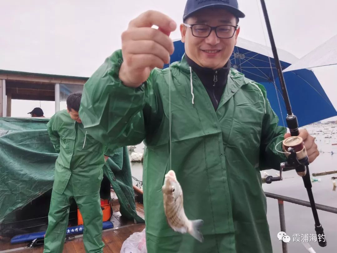小平岛网箱海钓(小平岛海港小渔村电话)
