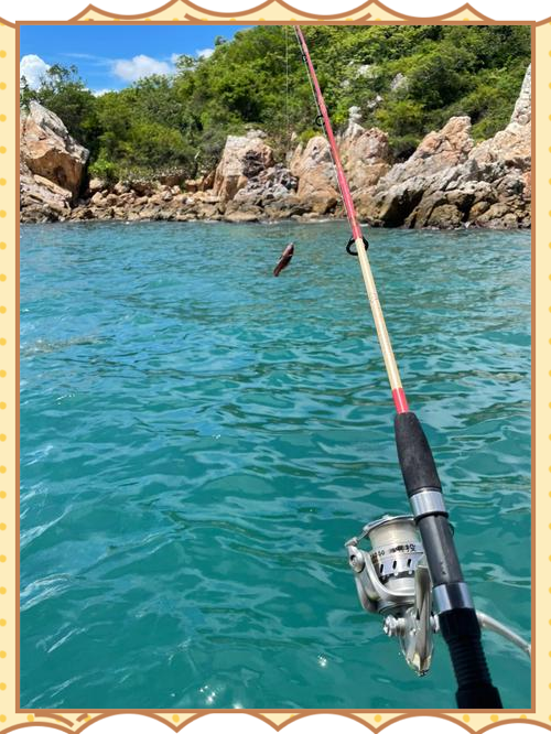 近海海钓船厂(近海钓鱼船需要什么手续)