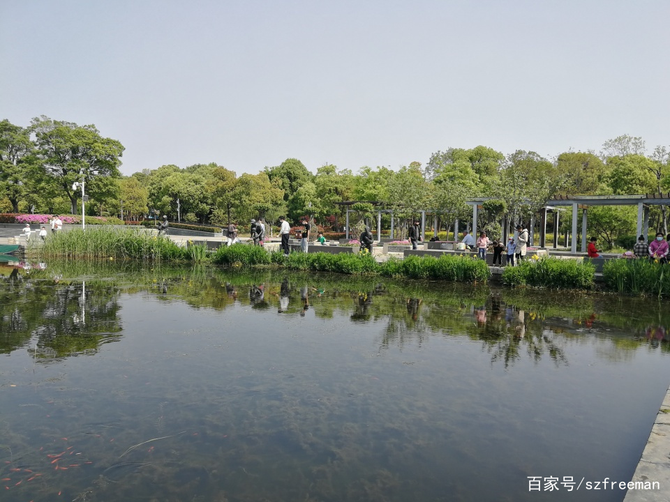 石湖钓鱼技巧(2021石湖水库最新消息)