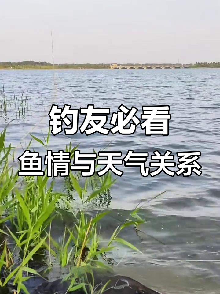 深秋雨天钓鱼技巧(深秋雨天钓鱼技巧视频)