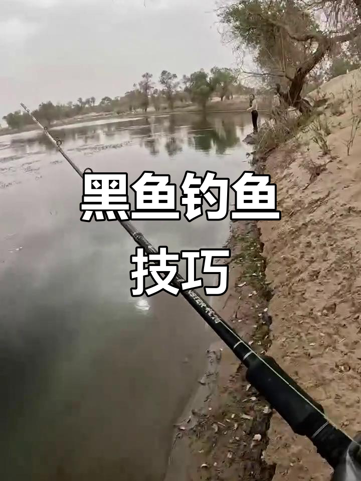 那黑鱼的技巧视频(黑鱼怎么做才好吃看视频)