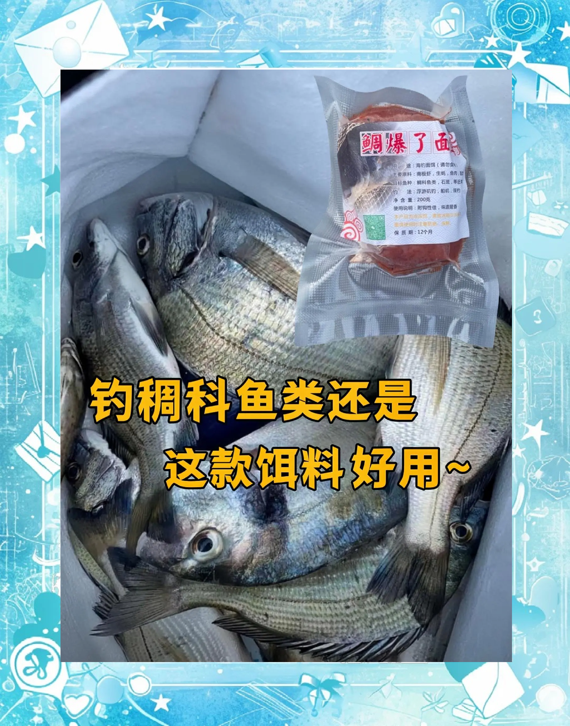 海钓矶钓鱼饵(2019海钓矶钓视频)