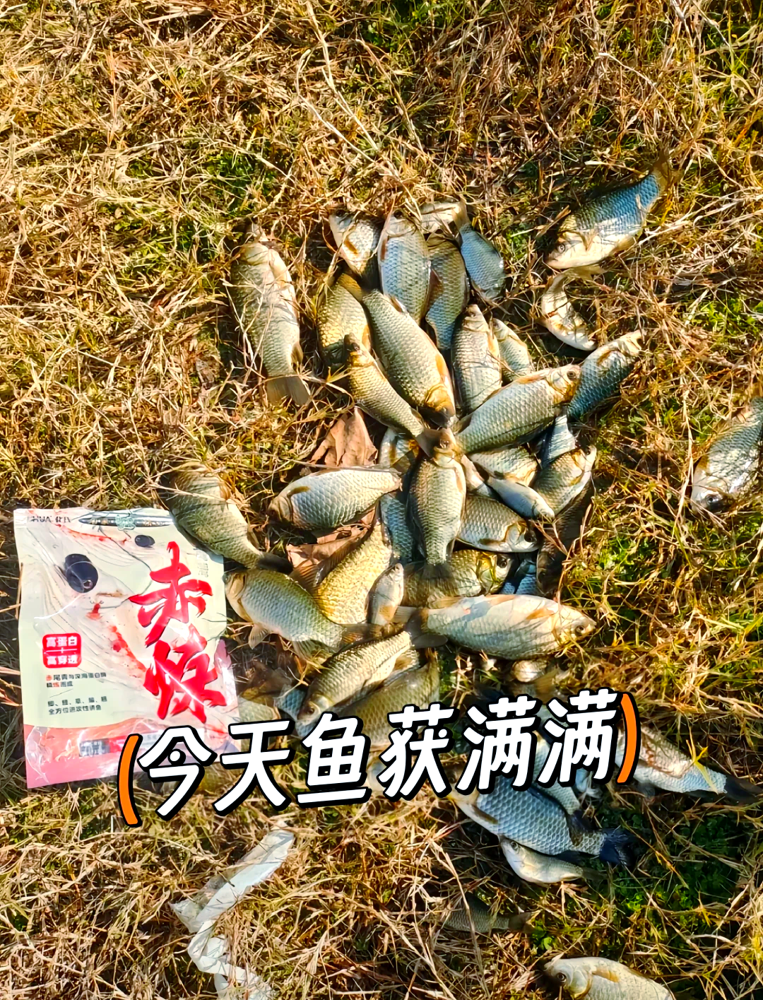 台钓鲫鱼饵料(台钓鲫鱼饵料怎么搭配)
