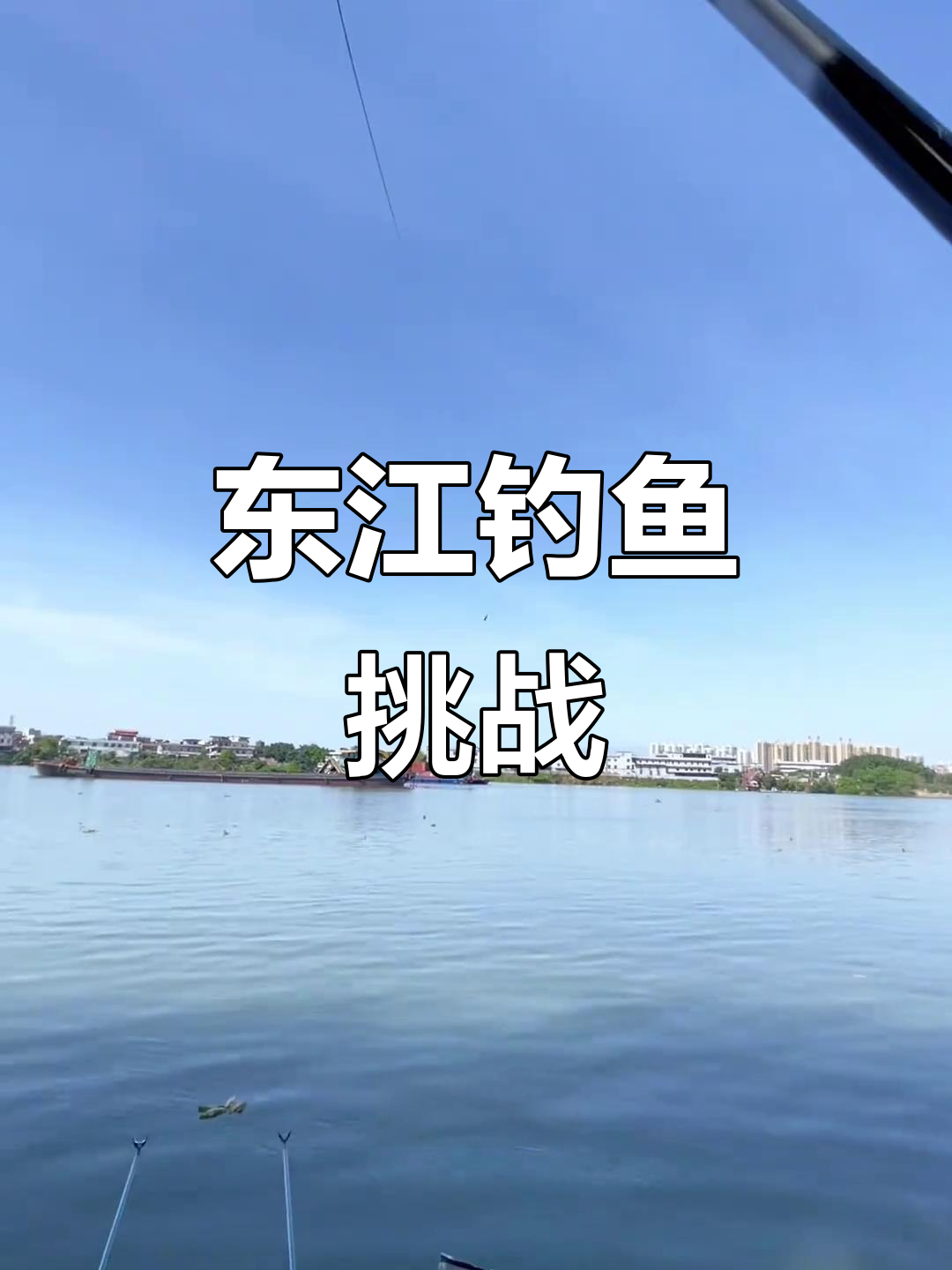 麦鲮垂钓技巧(野钓麦鲮鱼最佳饵料配方)